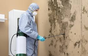 Best Comprehensive Air Testing for Mold Contaminants  in Sonoma, CA